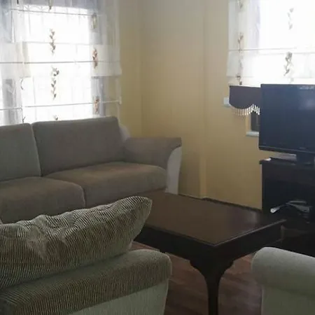 S İçmeler